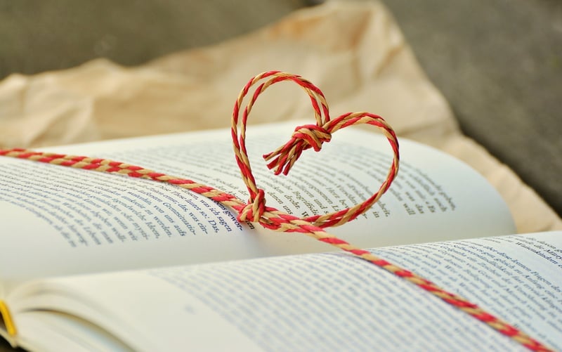 Historical Fiction Book